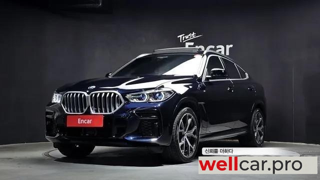 bmw X6 (g06)
