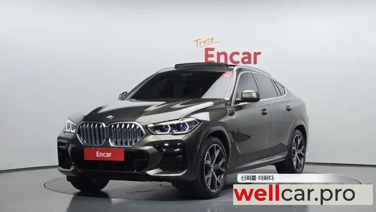 bmw X6 (g06)