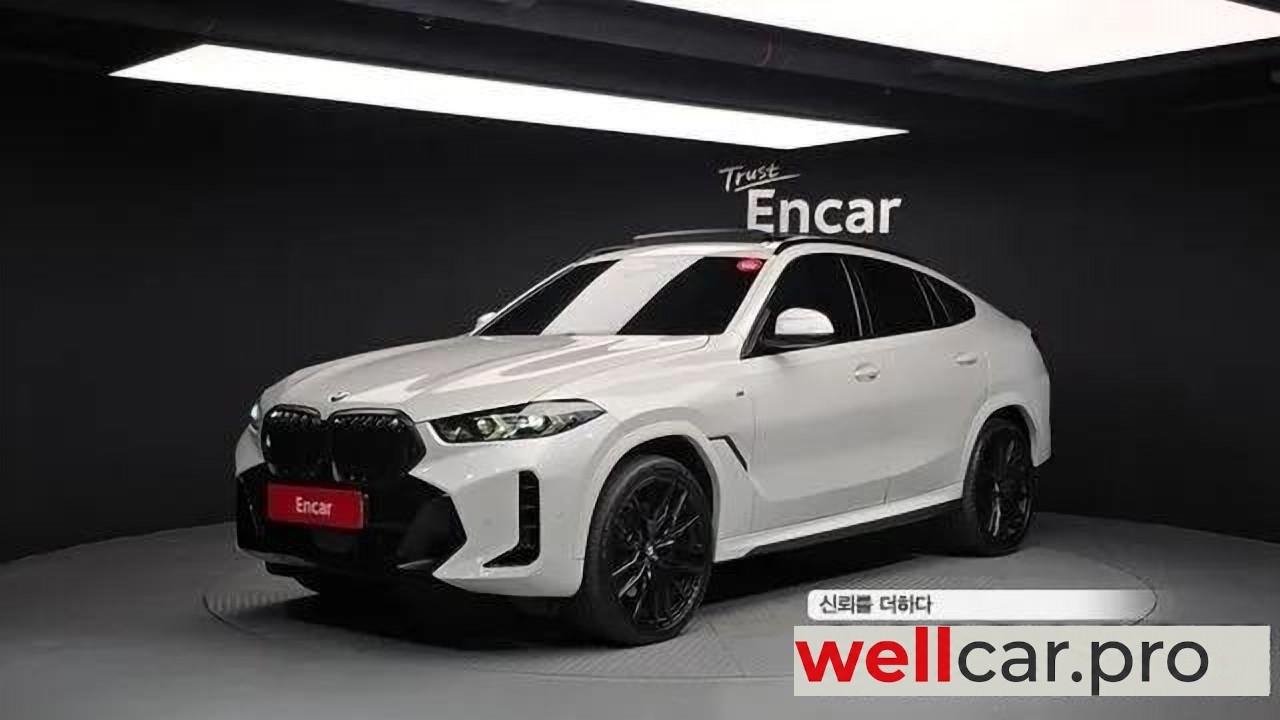 bmw X6 (g06)