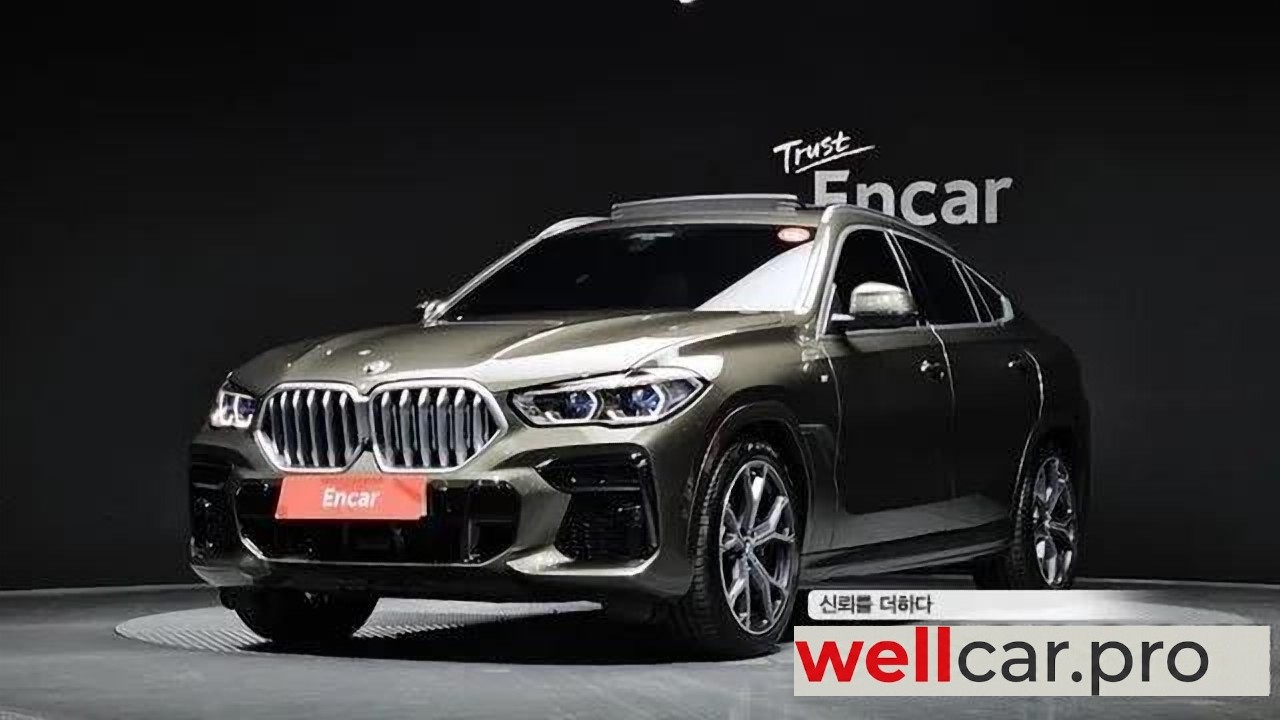 bmw X6 (g06)