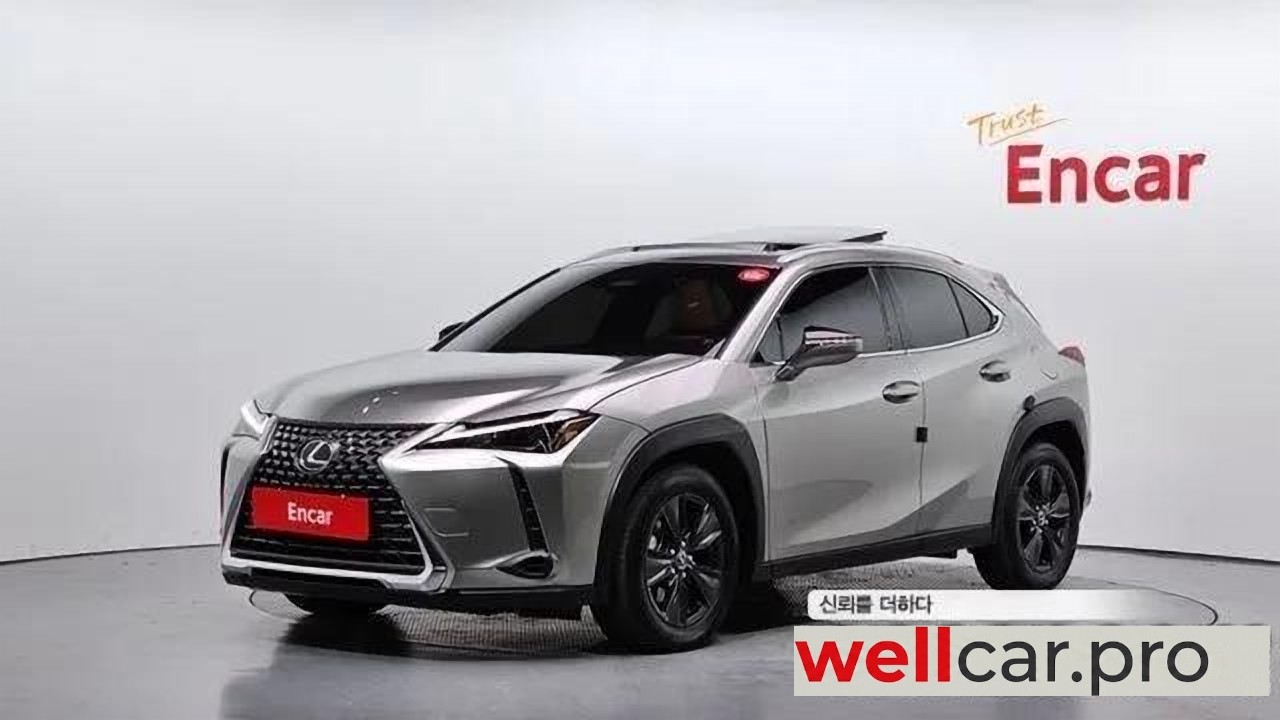 lexus Ux300h