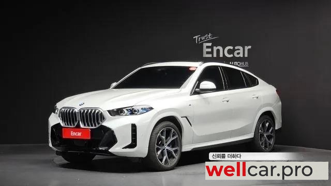 bmw X6 (g06)