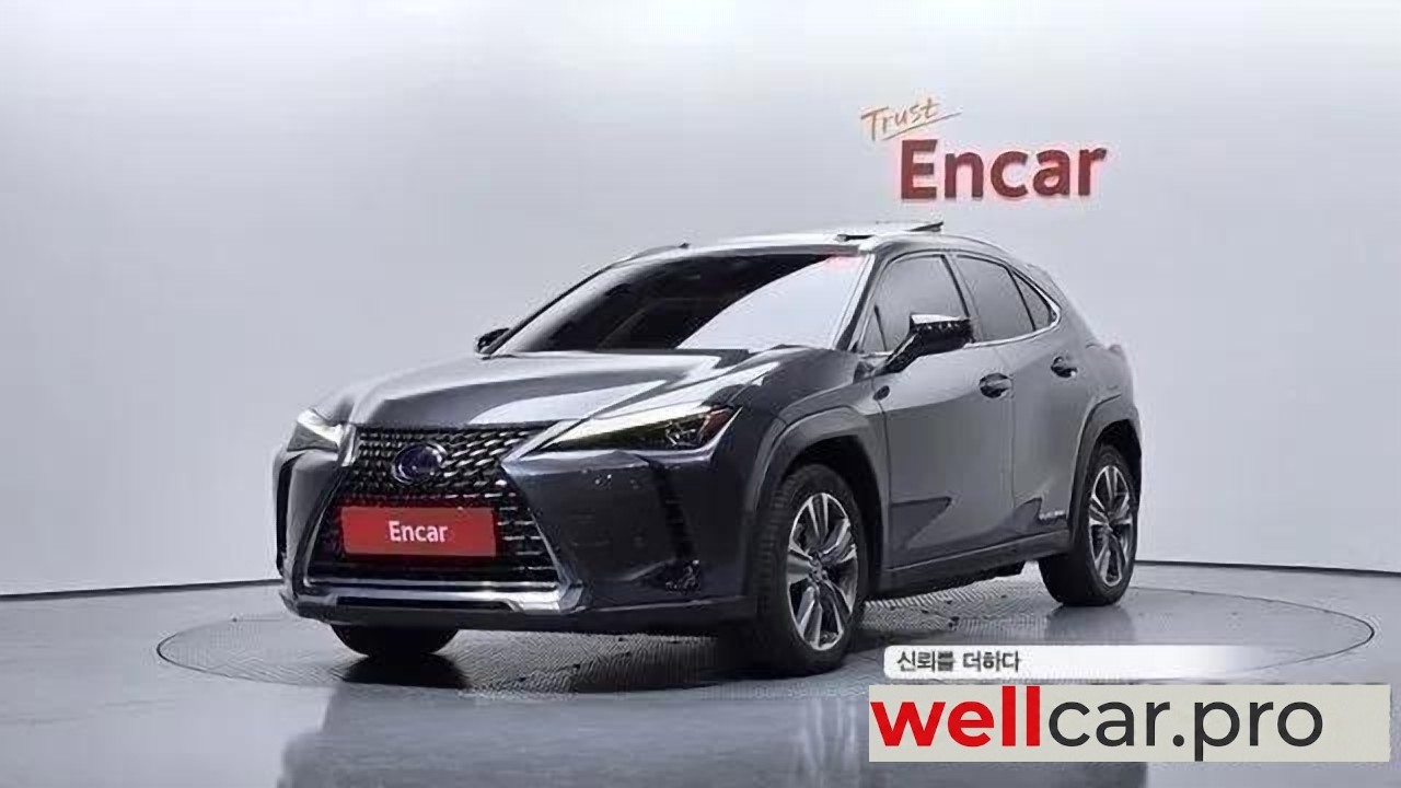 lexus Ux300e