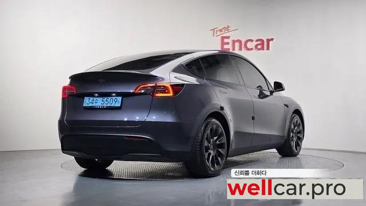 tesla Model Y