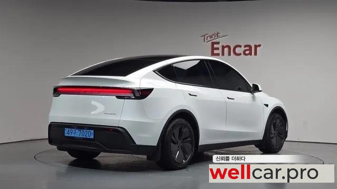 tesla Model Y
