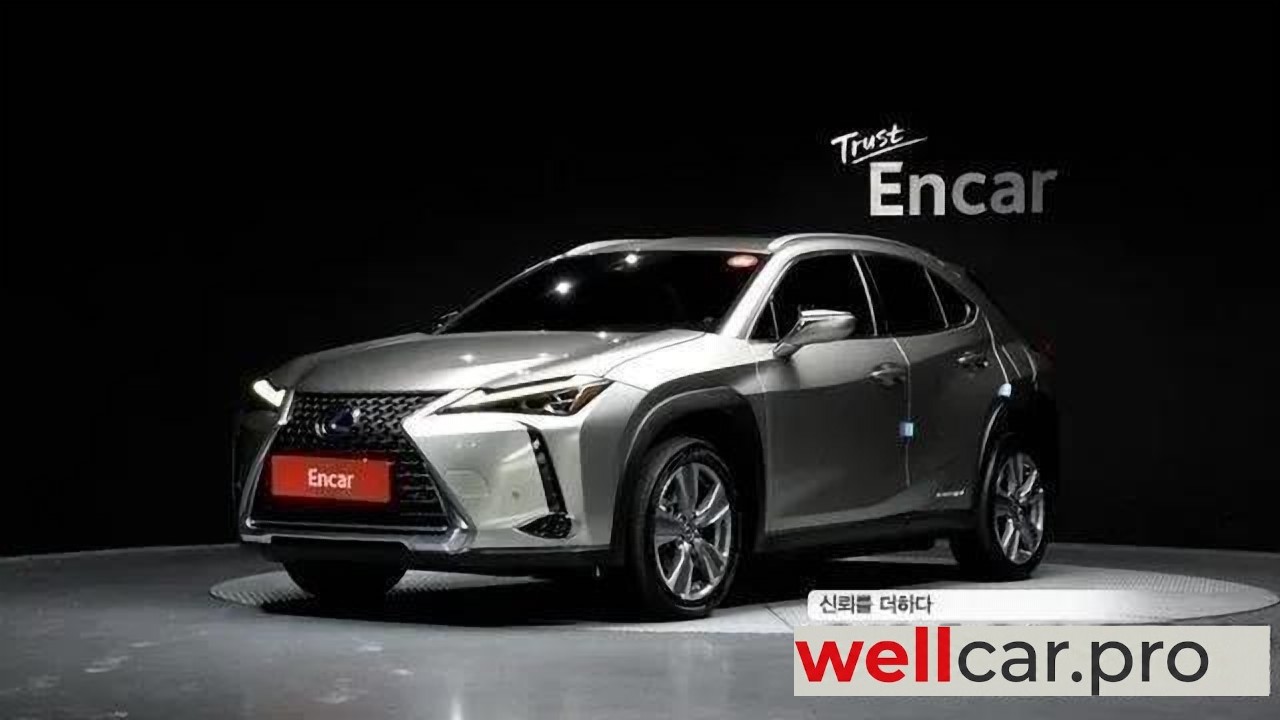 lexus Ux300e